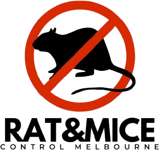 Your logo